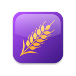 Illustration of a wheat stalk representing gluten