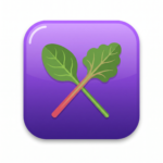 Illustration of spinach and rhubarb representing oxalates