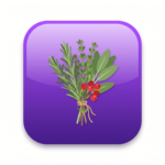 Illustration of fresh herbs and berries representing salicylates