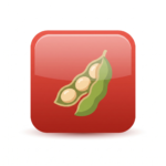 Illustration of a soybean pod representing soy allergy